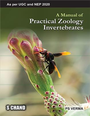 A Manual of Practical Zoology: Invertebrates